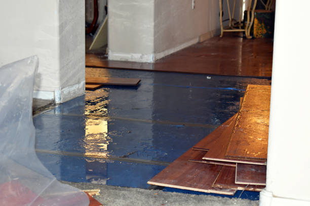 Professional Basement Water Removal technician working in Franconia, NH